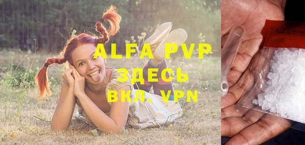 apvp Гусиноозёрск