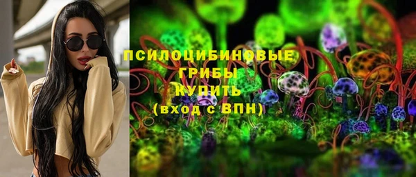 2c-b Гусев