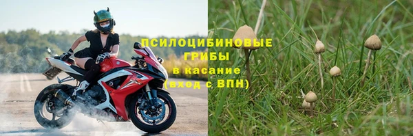 2c-b Гусев