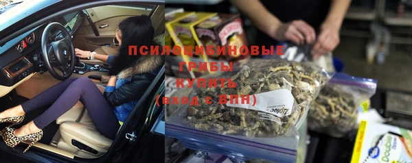 apvp Гусиноозёрск