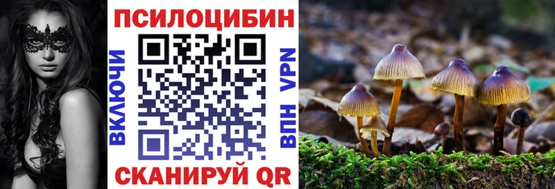 omg ссылка Разумное Псилоцибиновые грибы Magic Shrooms